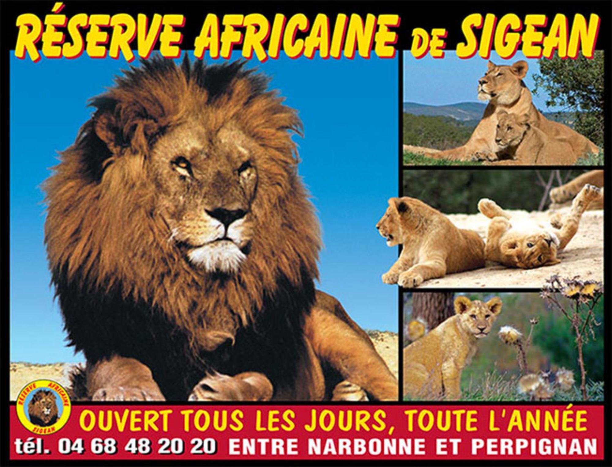 Le Mieukerien - Reserve Africaine 15 Mn, Plage 200M, Terrasse Port-la-Nouvelle Dış mekan fotoğraf